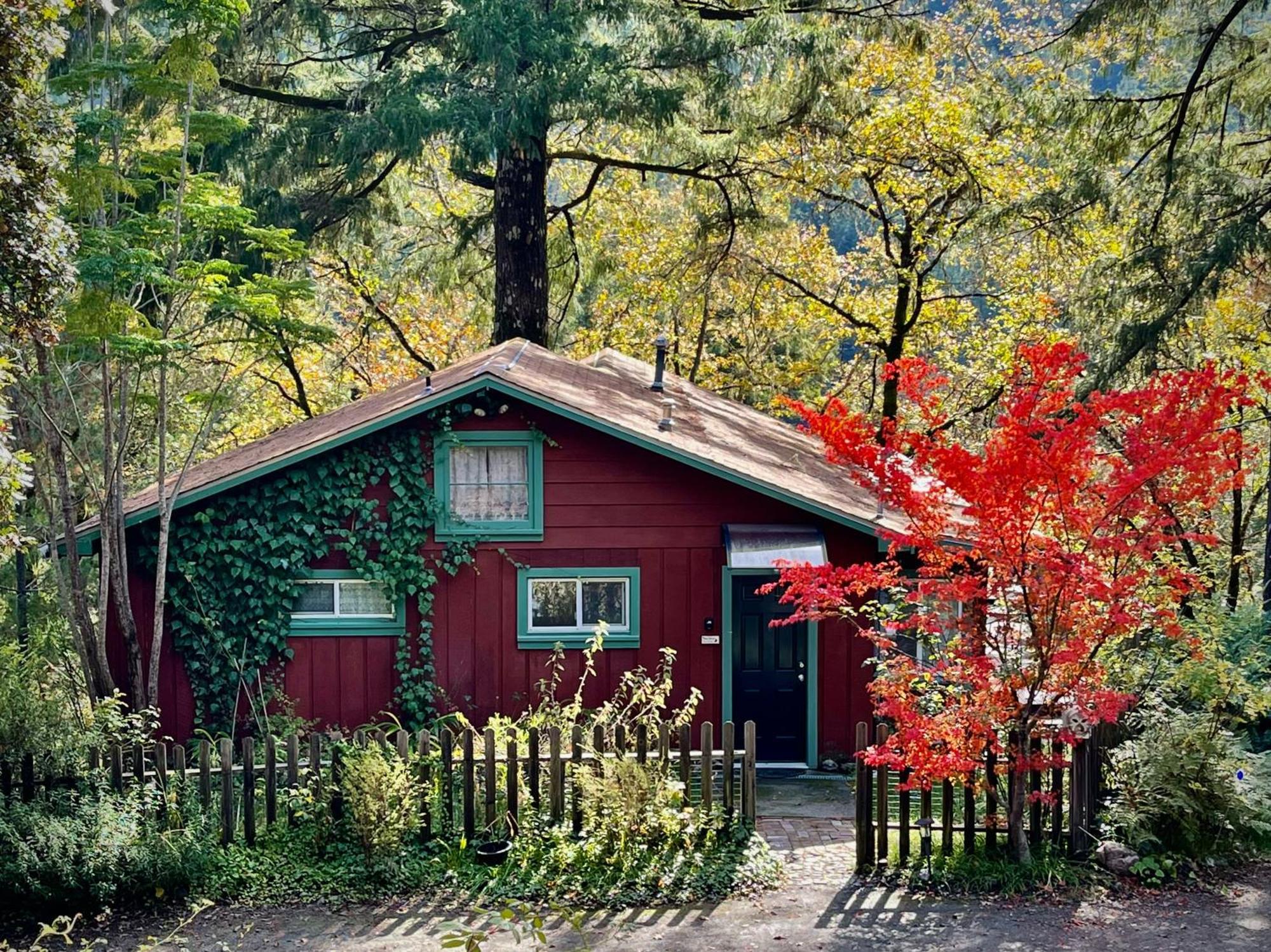 Avenue Of The Giants Caraway Cottage Miranda Exterior foto
