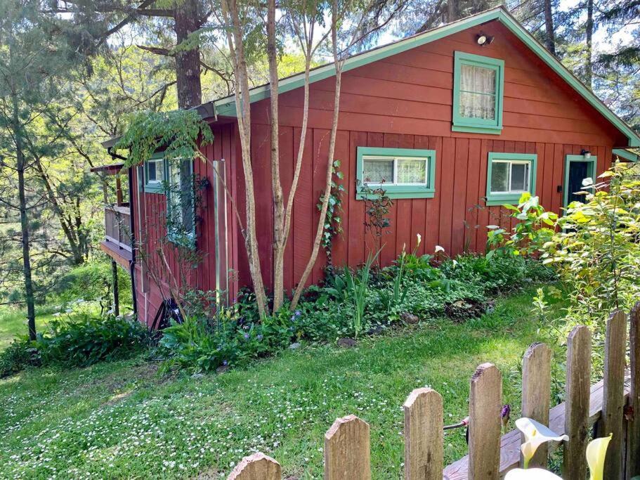 Avenue Of The Giants Caraway Cottage Miranda Exterior foto