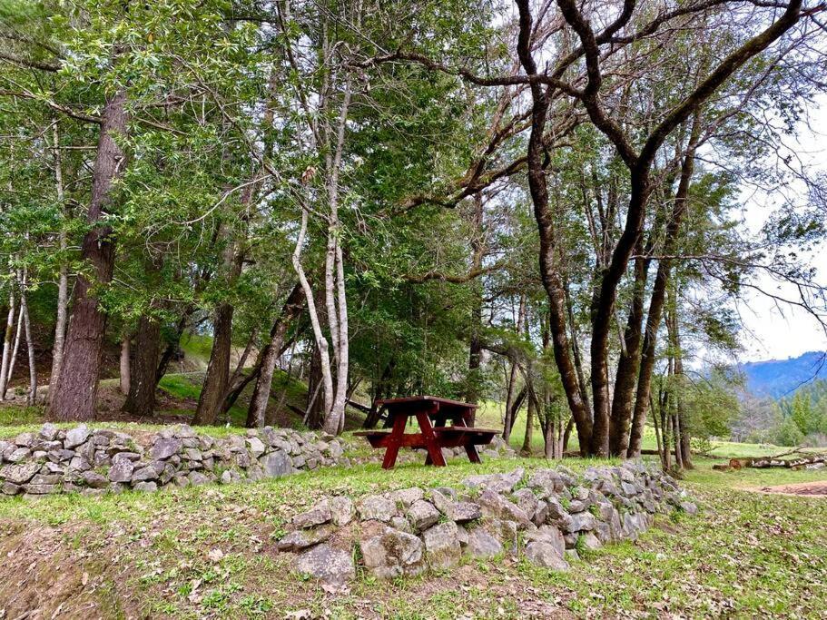 Avenue Of The Giants Caraway Cottage Miranda Exterior foto